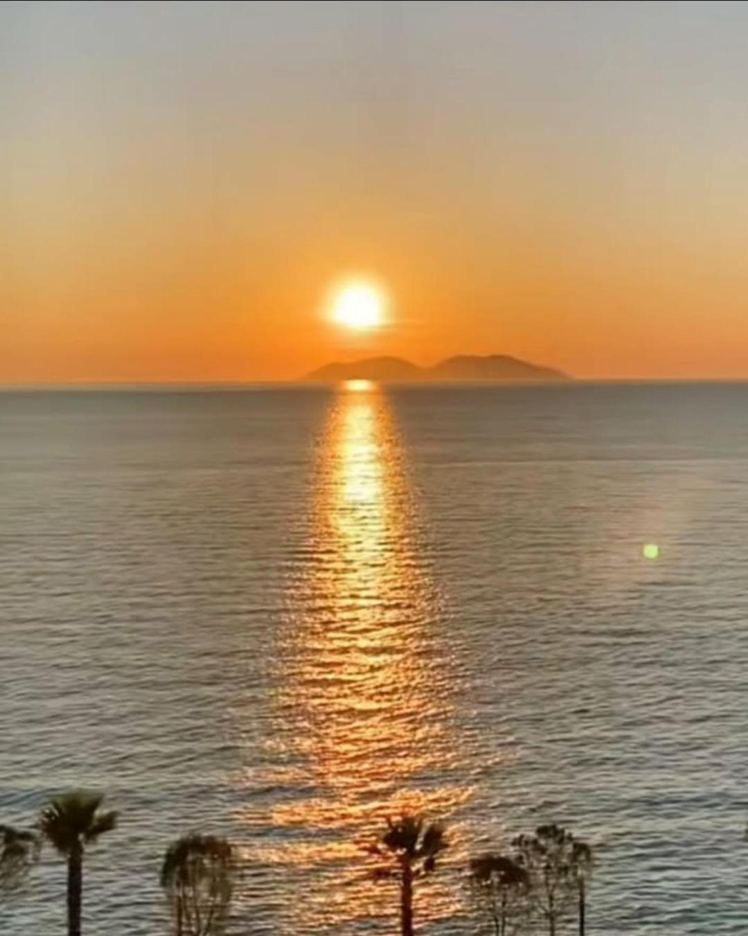 فلورا Hotel Noel المظهر الخارجي الصورة
